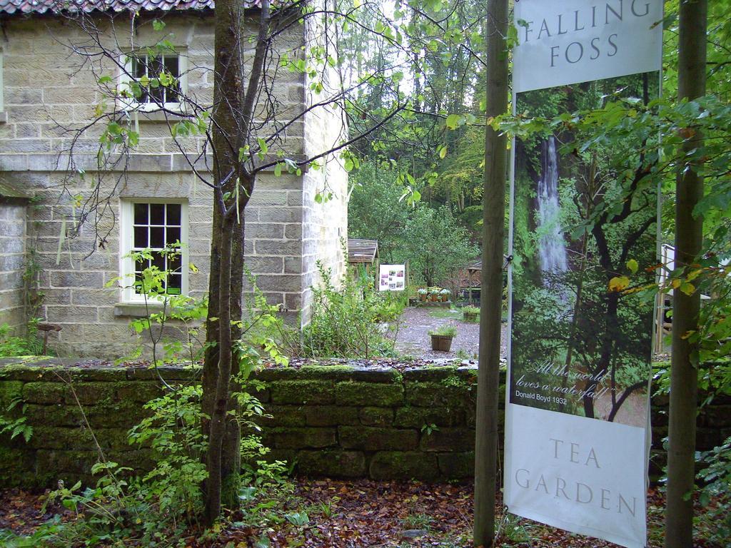 Thorpe Green House Vegetarian Bed & Breakfast Robin Hood's Bay Luaran gambar