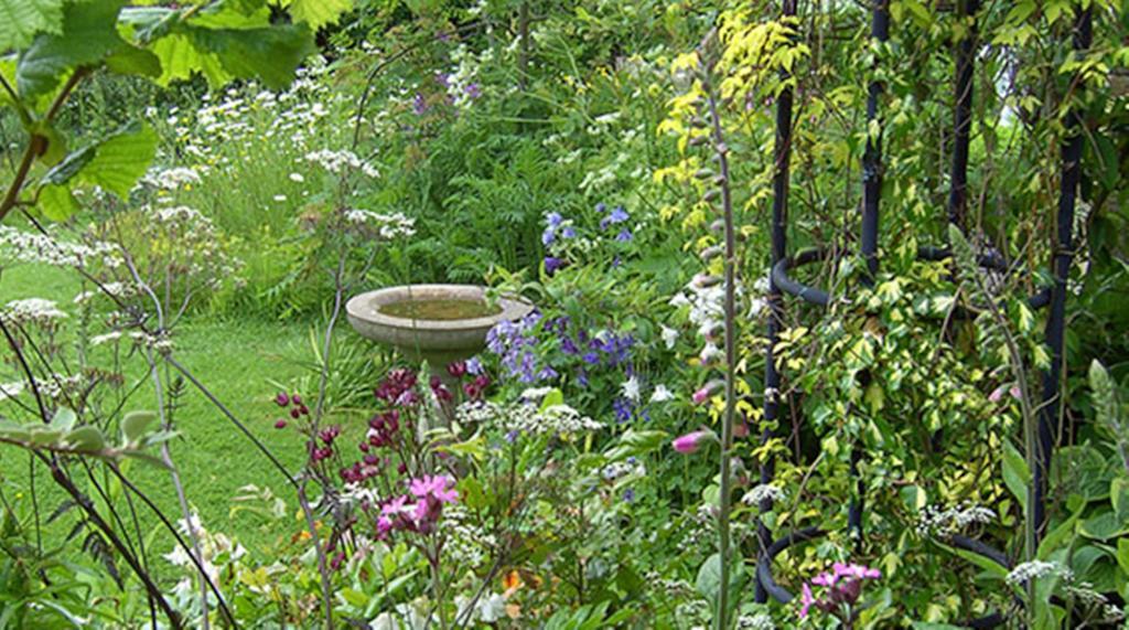 Thorpe Green House Vegetarian Bed & Breakfast Robin Hood's Bay Luaran gambar