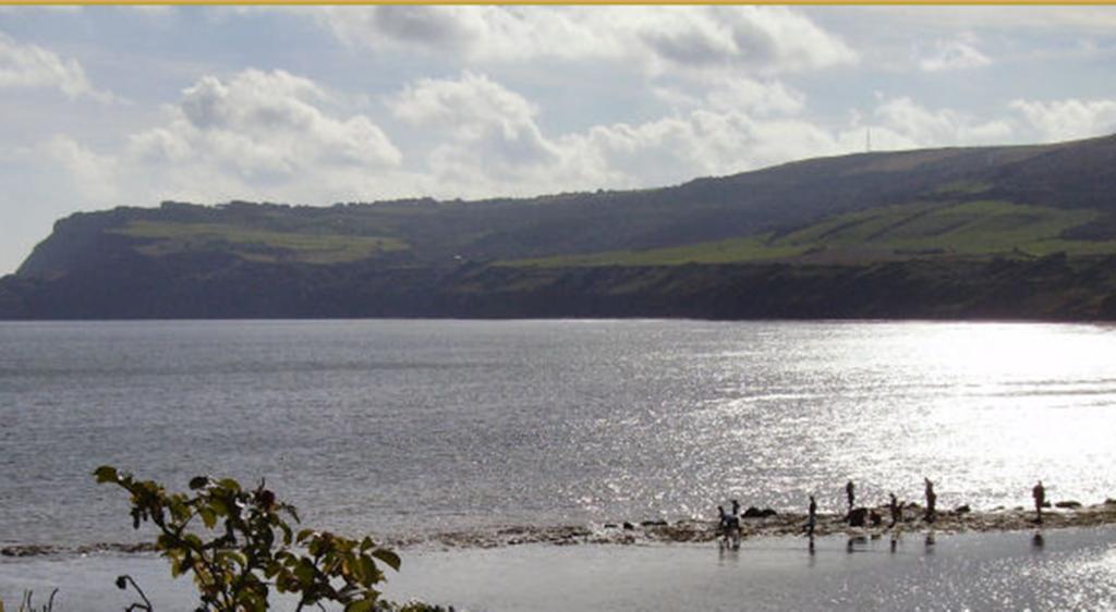 Thorpe Green House Vegetarian Bed & Breakfast Robin Hood's Bay Luaran gambar