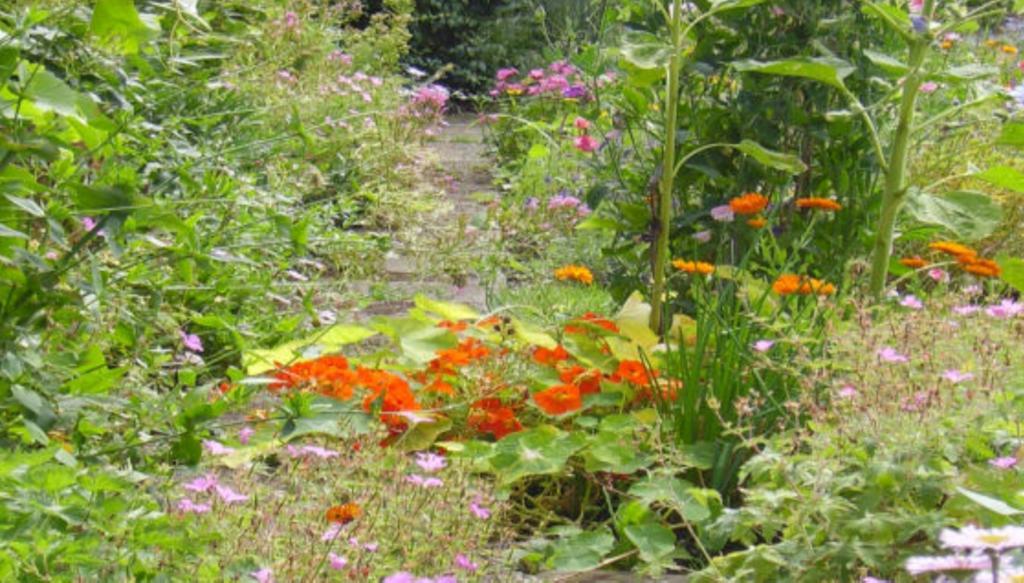 Thorpe Green House Vegetarian Bed & Breakfast Robin Hood's Bay Luaran gambar