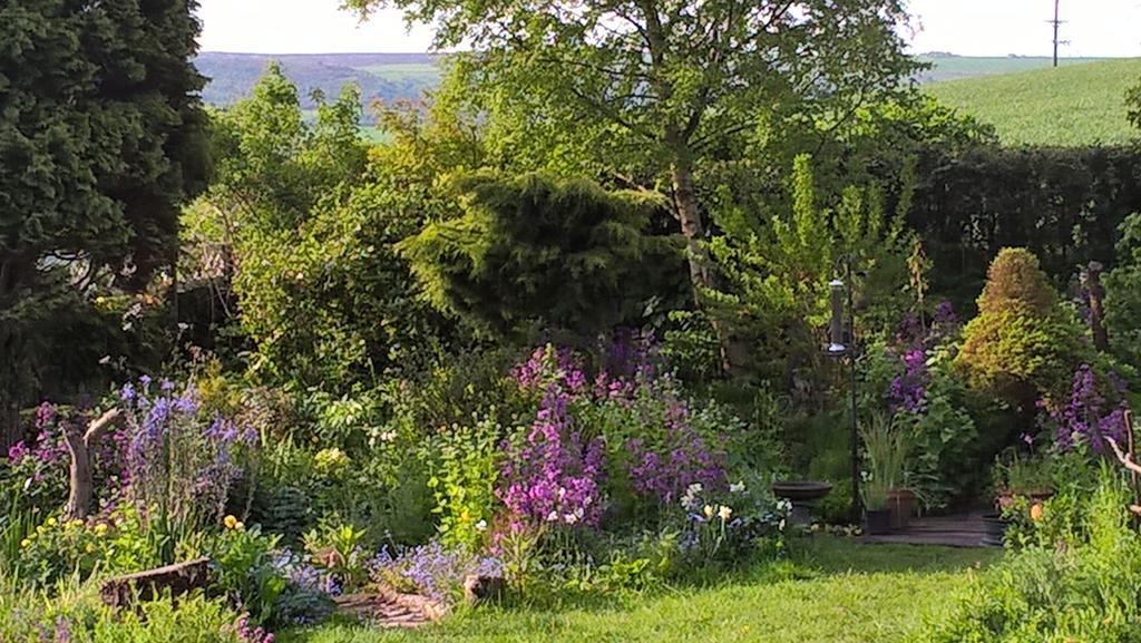 Thorpe Green House Vegetarian Bed & Breakfast Robin Hood's Bay Luaran gambar