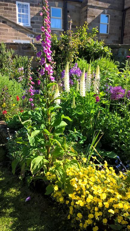 Thorpe Green House Vegetarian Bed & Breakfast Robin Hood's Bay Luaran gambar