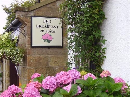 Thorpe Green House Vegetarian Bed & Breakfast Robin Hood's Bay Luaran gambar