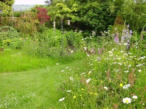 Thorpe Green House Vegetarian Bed & Breakfast Robin Hood's Bay Luaran gambar